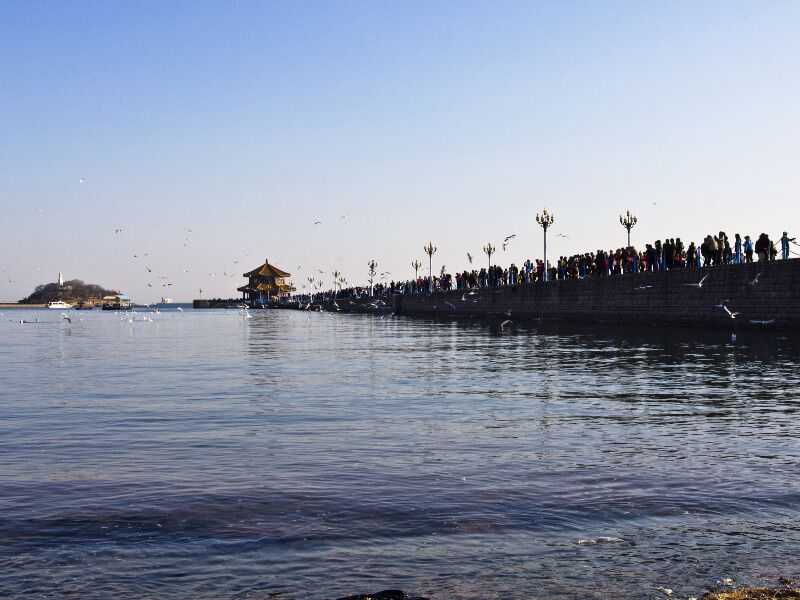 青岛大学校长夏东伟在2023年毕业典礼暨学位授予仪式上寄语毕业生——赓续奋斗精神 彰显青春担当