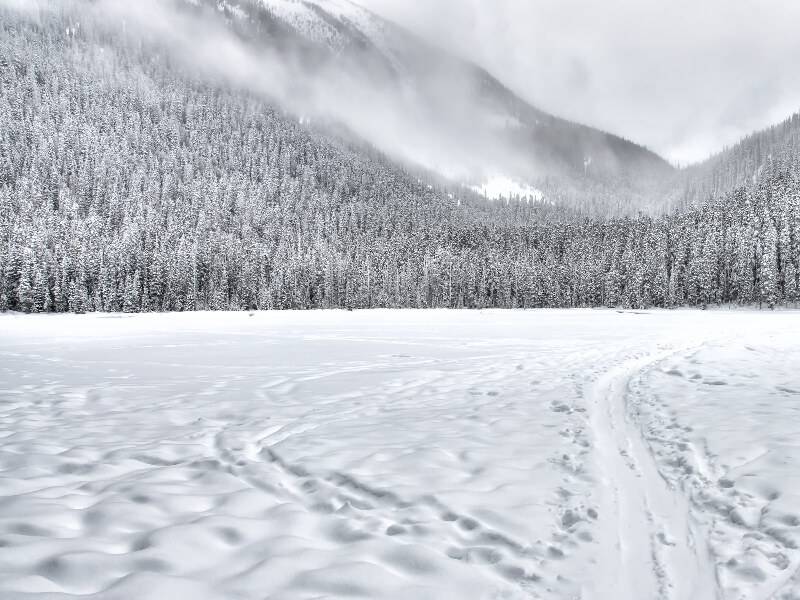 中国驻法兰克福总领事温振顺在“德国•中国吉林经贸交流会”上的讲话
