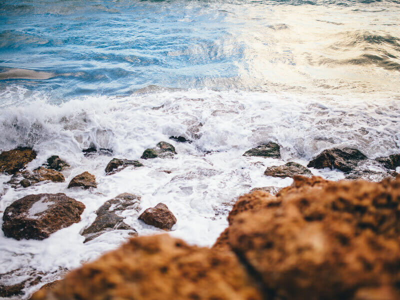 郑州银行2021年报行长申学清致辞