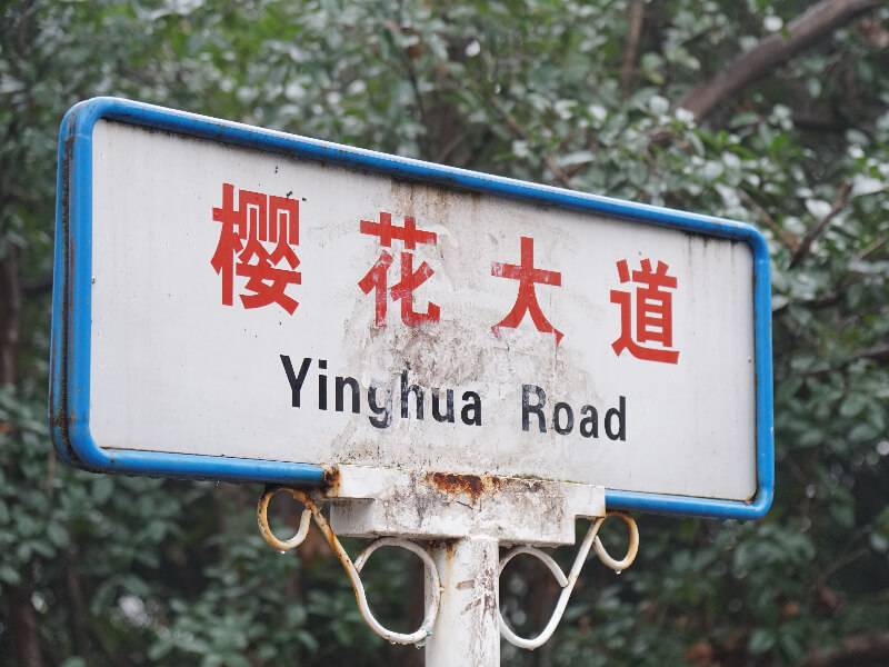 泰康集团陈东升在庆祝武汉大学建校130周年大会上的讲话