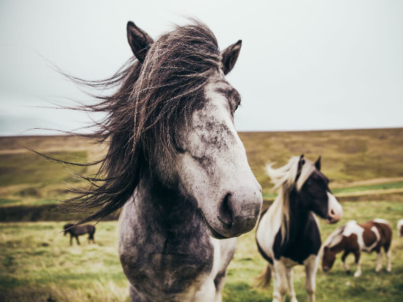 北京大学中国语言文学系系主任杜晓勤在2023年学院毕业典礼上的毕业赠言