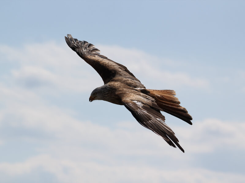 四川大学校长李言荣在2021级本科生开学典礼上致辞：从优秀走向卓越