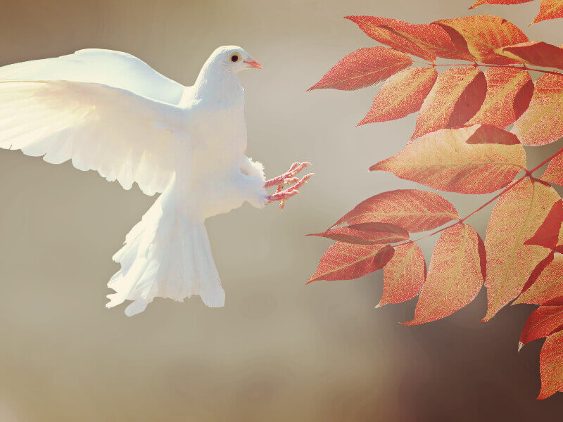 韩国总统文在寅在2020年3·1独立运动101周年纪念仪式上的致辞