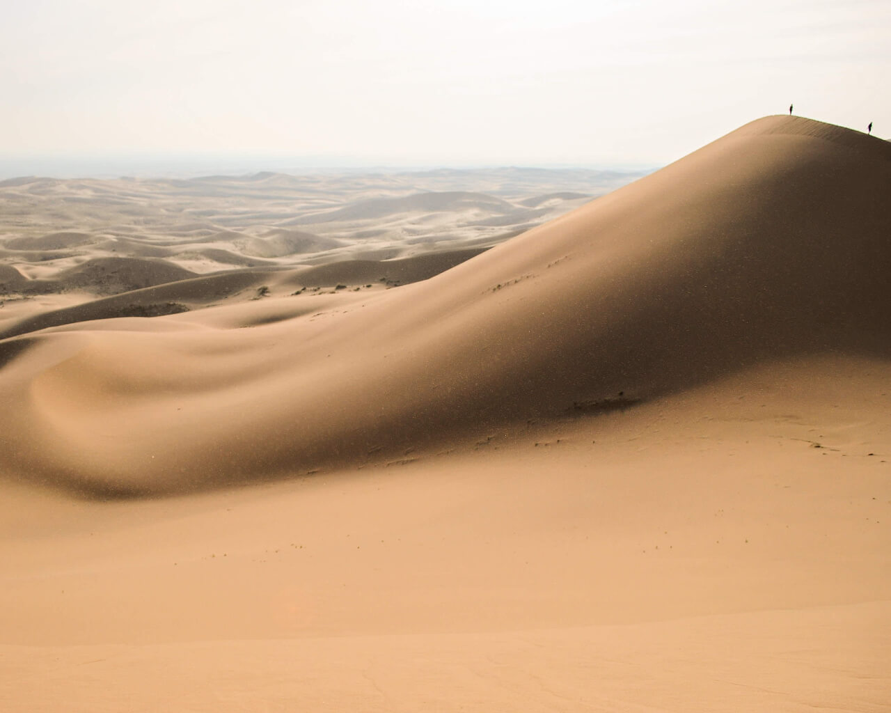 沙特阿拉伯部长理事会总秘书处顾问，沙特阿拉伯利雅得市皇家委员法赫德·拉希德在2023ESG全球领导者大会的演讲实录
