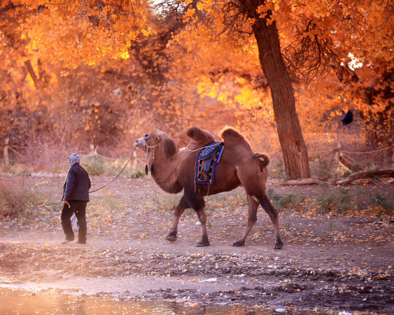 2023年新疆维吾尔自治区政府工作报告（全文）