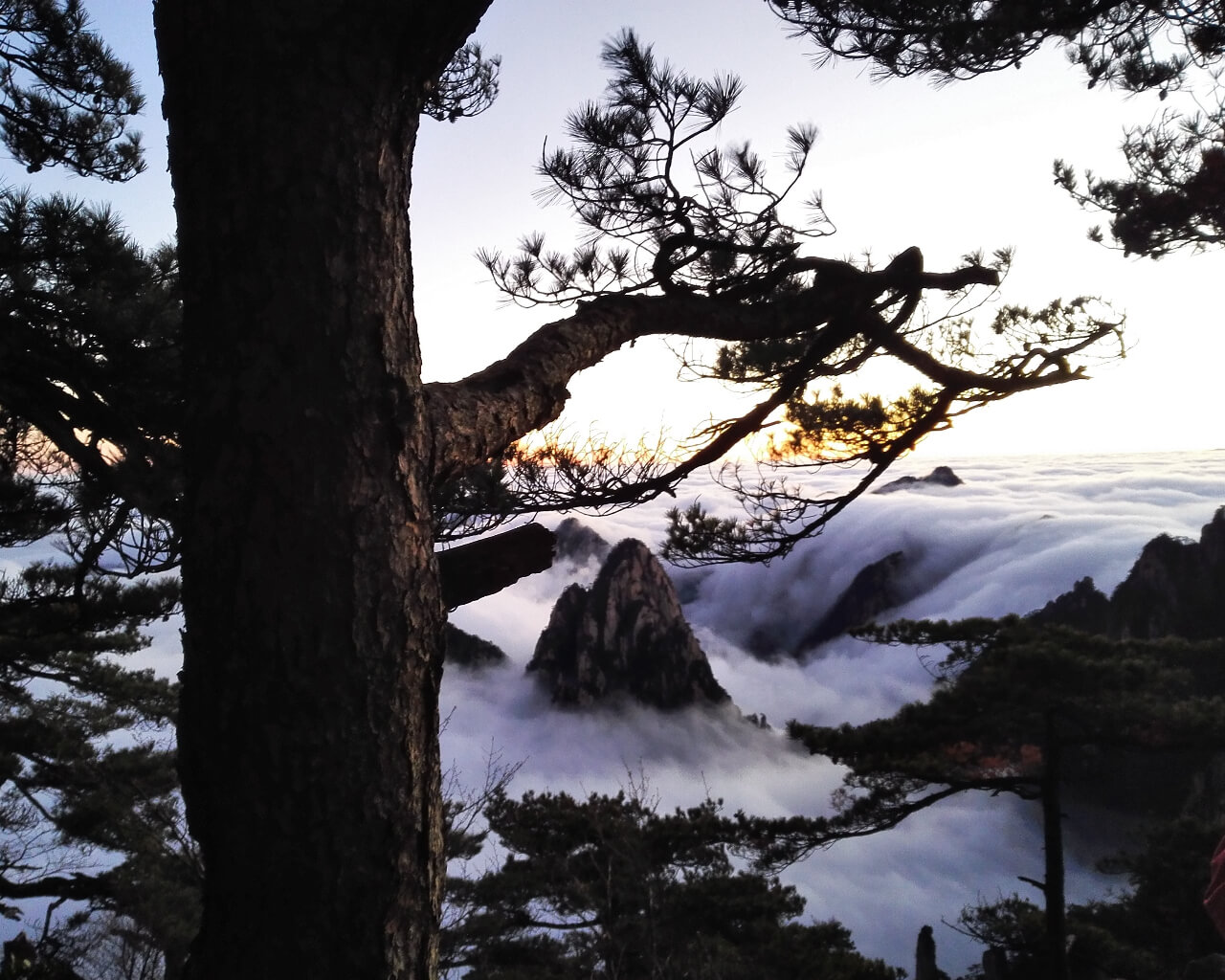 2023年安徽省政府工作报告（全文）