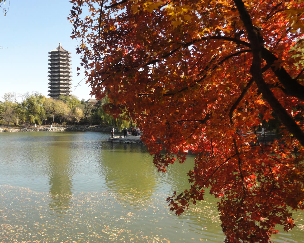 北京大学社会学系本科生刘佳雨在2023年系毕业典礼上的发言