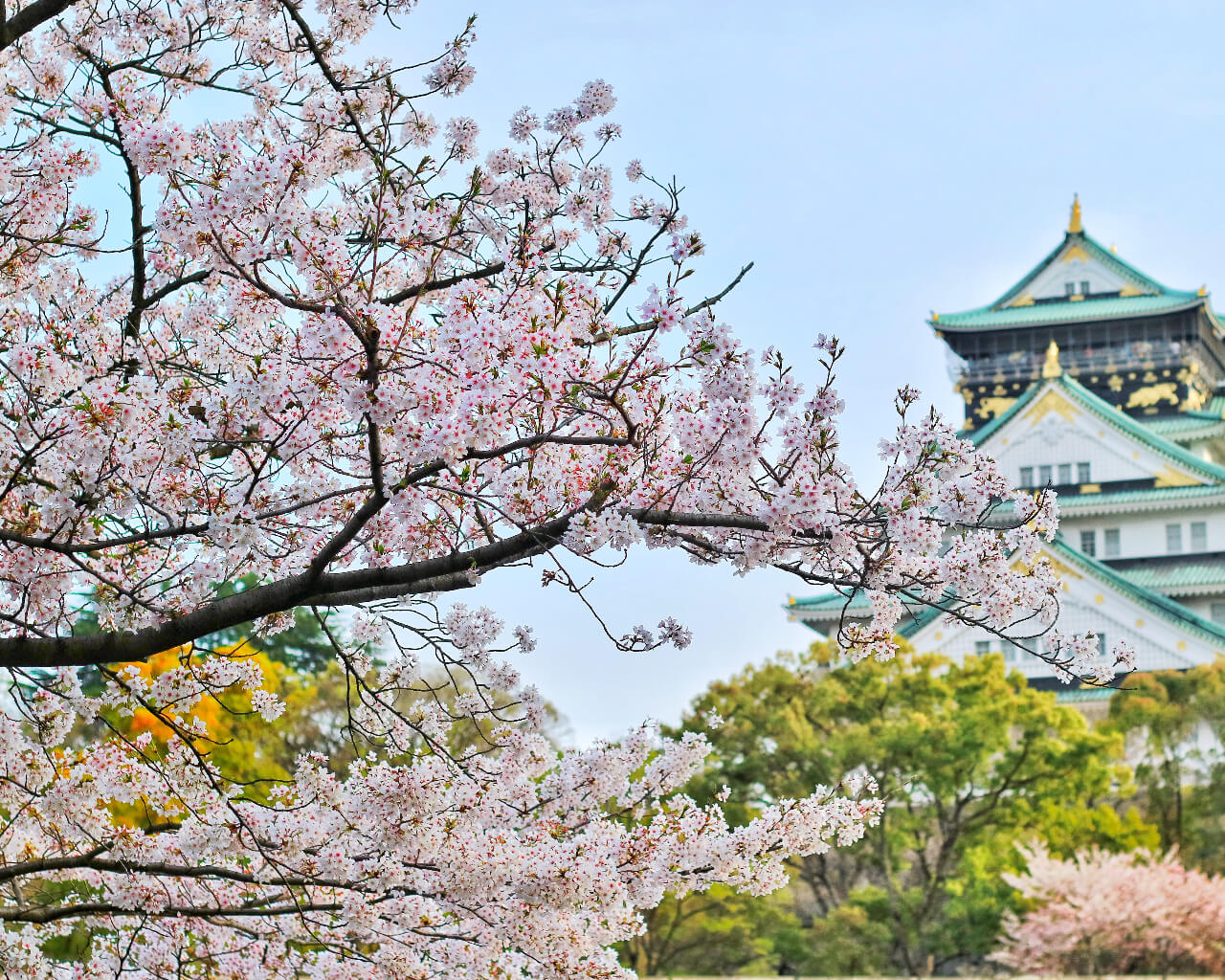日本首相岸田文雄在第212届国会施政方针演说（中日全文）