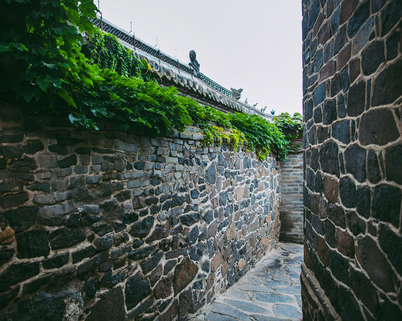 2024年山东省政府工作报告（全文）