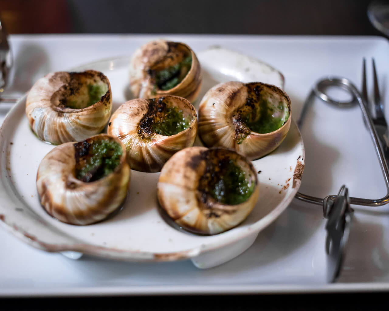 中国驻法大使卢沙野在法中委员会紫色晚宴上的致辞